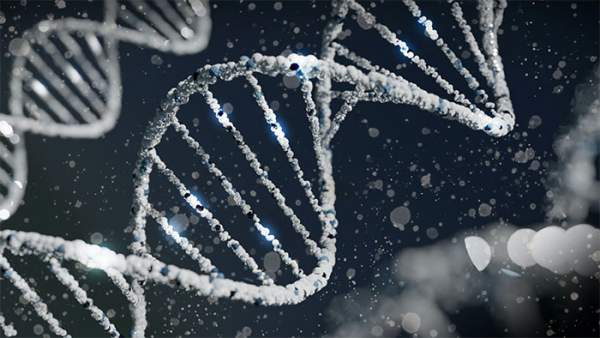 Các nhà khoa học phát hiện ra một tập hợp biến thể di truyền dường như có thể hạn chế lây nhiễm HIV 3