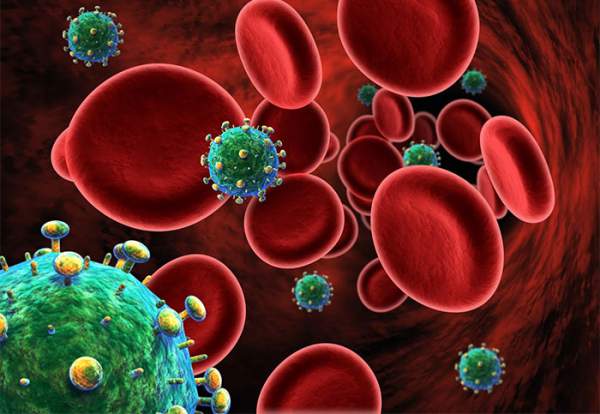 Các nhà khoa học phát hiện ra một tập hợp biến thể di truyền dường như có thể hạn chế lây nhiễm HIV 4