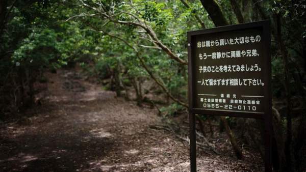 “Cánh rừng tự sát” của Nhật Bản hiện tại thế nào sau nhiều năm gây ám ảnh? 2