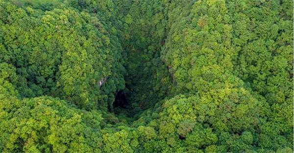 Phát hiện hang động chứa đựng một khu rừng nguyên sinh 2