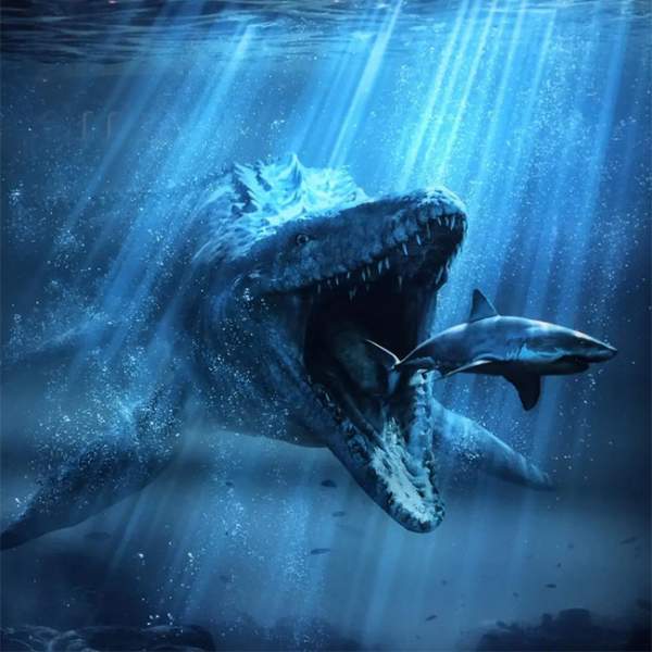 Không phải Megalodon, 5 loài này mới thực sự là quái vật mạnh nhất đại dương cổ đại 3