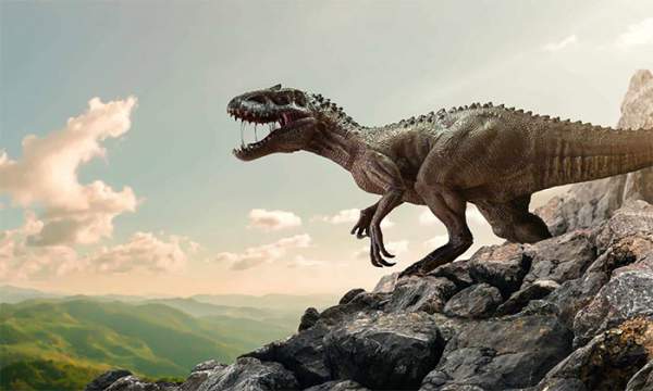 Môi trường và khí hậu Trái đất thời kỳ khủng long khác biệt như thế nào so với hiện nay? 4