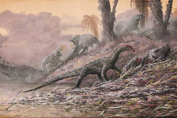 Môi trường và khí hậu Trái đất thời kỳ khủng long khác biệt như thế nào so với hiện nay? 3