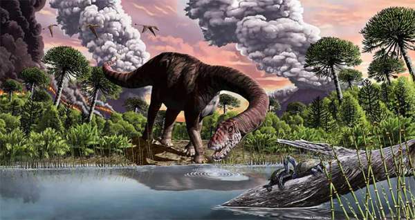 Môi trường và khí hậu Trái đất thời kỳ khủng long khác biệt như thế nào so với hiện nay? 2