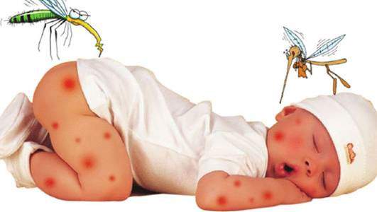 Cách nhận biết trẻ mắc bệnh sốt xuất huyết 4
