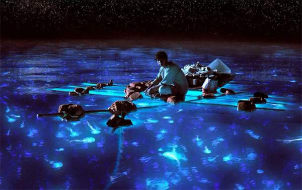 Bí ẩn về hiện tượng biển sao của Maldives 6