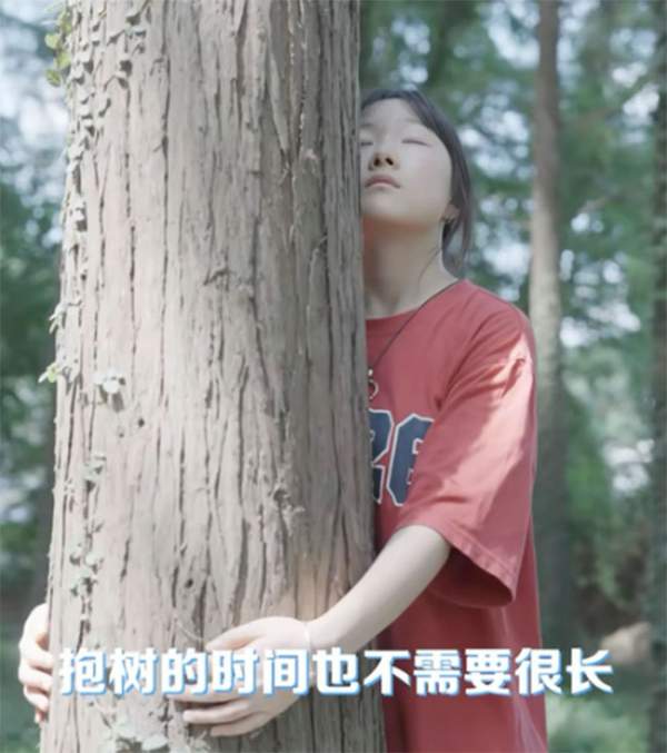 Thực hư liệu pháp ôm cây để giảm bớt căng thẳng của giới trẻ Trung Quốc 4