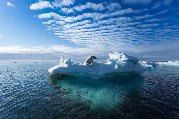 Nhân loại có thể phải đối mặt với điều gì nếu tất cả sông băng trên Trái đất tan chảy 3