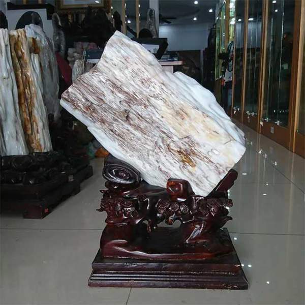 Cây gỗ hóa ngọc sánh ngang kim cương, giá 600 tỷ đồng 18