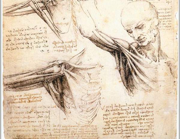 Những thiết kế vượt thời gian của Leonardo da Vinci 6