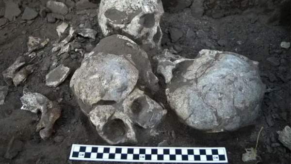 Mộ tập thể 4.100 năm tuổi ở Trung Quốc và bí mật về một vụ thảm sát kinh hoàng 2