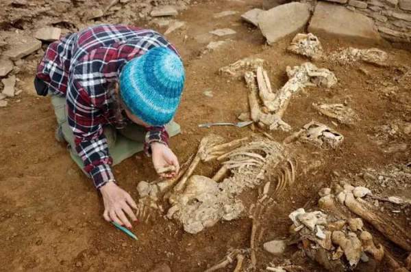 Phát hiện xương người tiền sử trong ngôi mộ 5.000 năm tuổi ở Scotland 3