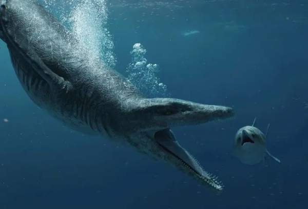 Phát hiện hóa thạch hộp sọ khổng lồ của loài quái vật biển hung dữ nhất kỷ Jura 3