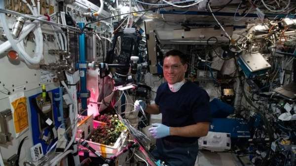 Tìm thấy quả cà chua "mất tích" suốt 8 tháng trên trạm vũ trụ ISS