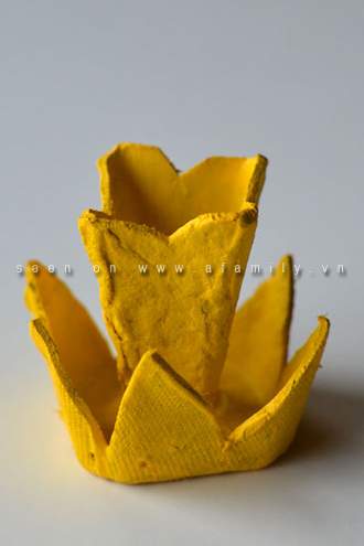 Hoa thuỷ tiên vàng rực rỡ từ hộp đựng trứng 11