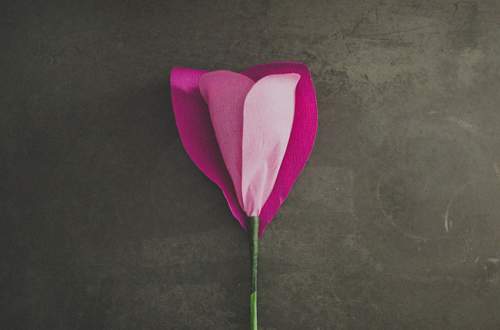 Hoa hồng giấy khổng lồ - món quà bất ngờ ngày Valentine trắng 9