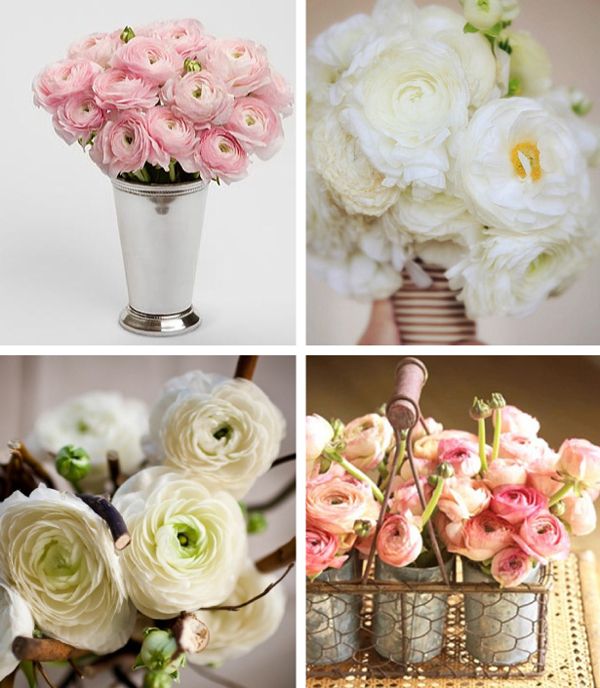 Những loại hoa ý nghĩa trong đám cưới 6