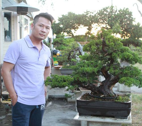 Vườn bonsai tiền tỷ ở Mỹ của Bằng Kiều 3