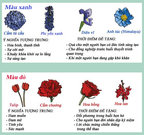 Infographic: Biểu tượng và ý nghĩa các loại hoa 4