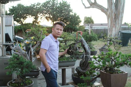 Vườn bonsai tiền tỷ ở Mỹ của Bằng Kiều 5