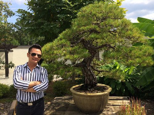 Vườn bonsai tiền tỷ ở Mỹ của Bằng Kiều 6
