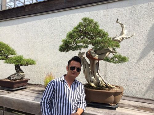 Vườn bonsai tiền tỷ ở Mỹ của Bằng Kiều 7