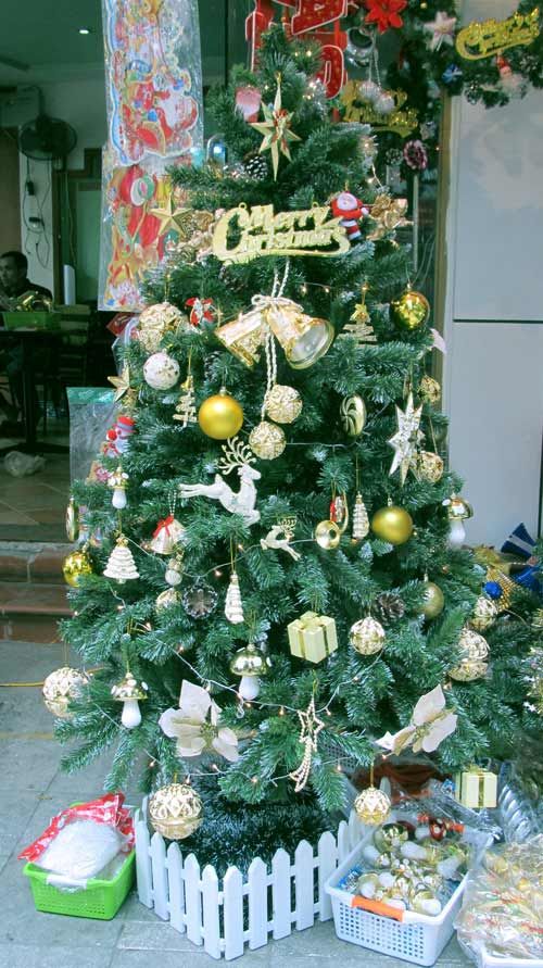 Dạo phố cổ chọn cây Giáng Sinh phù hợp diện tích nhà 4