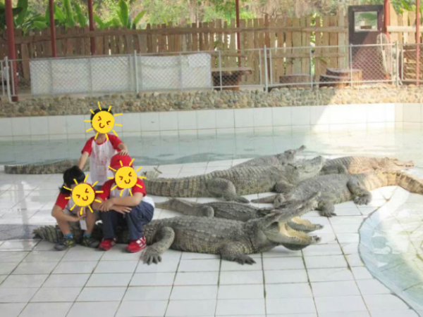 Tạo dáng bên cá sấu vào top 10 chuyện hot nhất mạng Thái Lan 2