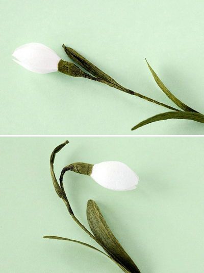 Trổ tài làm hoa giọt tuyết từ giấy giống y như hoa thật 7
