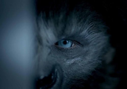 ‘Wolves’ mở màn phim kinh dị tại các rạp chiếu Việt 2015 10