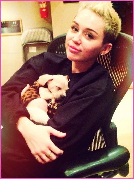 Miley Cyrus xứng danh nữ hoàng tàn phá tóc nhất năm 17