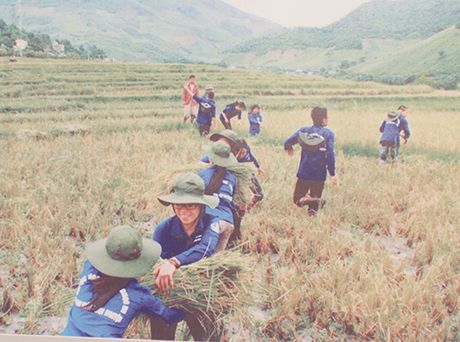 Hình ảnh ấn tượng 15 năm tình nguyện của thanh niên Việt 9