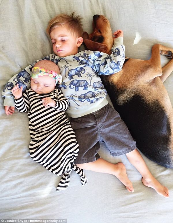 Những tư thế ngủ đáng yêu của hai anh em và chú chó 3