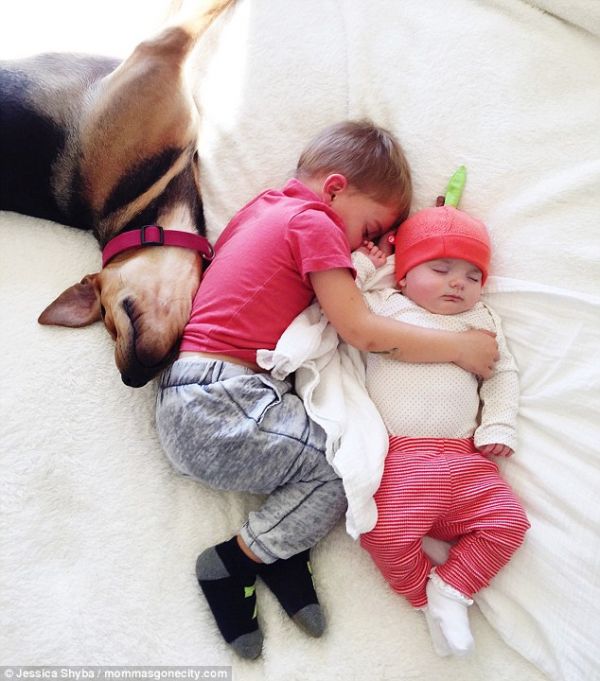 Những tư thế ngủ đáng yêu của hai anh em và chú chó 8