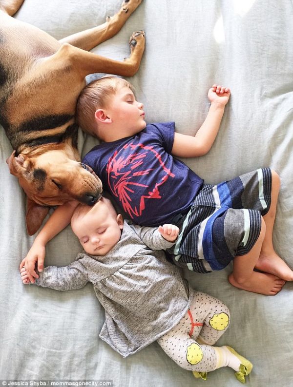 Những tư thế ngủ đáng yêu của hai anh em và chú chó 4