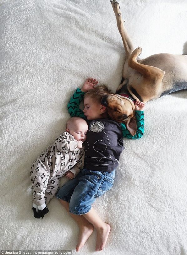 Những tư thế ngủ đáng yêu của hai anh em và chú chó 5