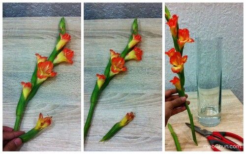 Hướng dẫn 3 cách cắm hoa lay ơn đơn giản đẹp nhà 2
