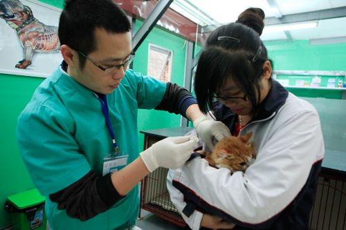Hàng trăm bạn trẻ HN đưa chó, mèo đi khám bệnh miễn phí 30