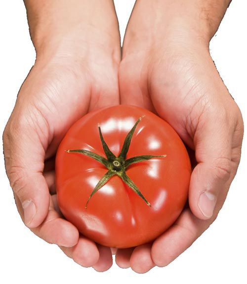 Vì sao ăn cà chua giúp da đẹp, dáng thon? 6