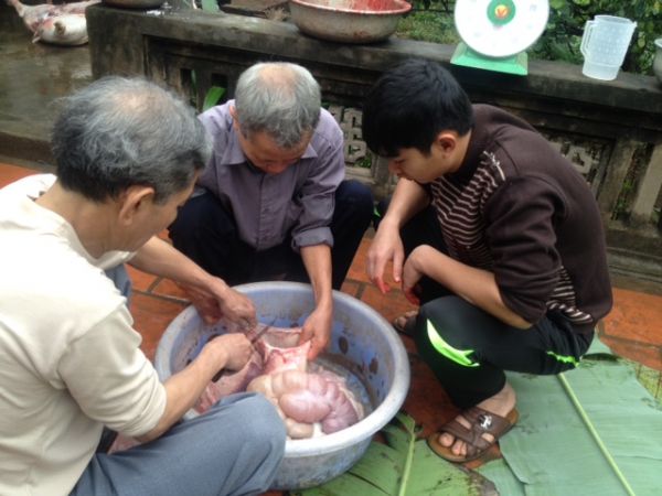 Chùm ảnh: Xem “đụng lợn” ngày Tết ở làng quê 24