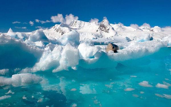 Sinh vật bí ẩn tồn tại dưới lớp băng dày 740m ở Nam Cực 4