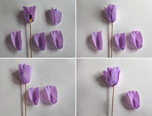 Cách làm hoa tulip bằng giấy nhún trang trí nhà ngày Tết 4