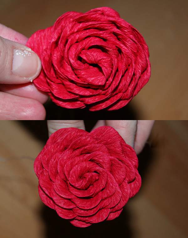 Cách làm hoa hồng bằng giấy nhún tuyệt đẹp cho bạn 6