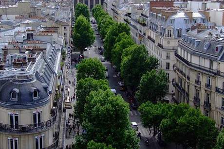 Thạc sĩ Việt tại Pháp: “Quản lý cây xanh đô thị - Ví dụ từ Paris” 2