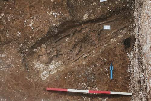 Phát hiện 3 bộ xương người Việt cổ niên đại 5.000 năm ở Hà Tĩnh 2