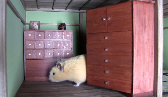 Bật cười với nhà Nhật Bản của "chàng" hamster béo 15