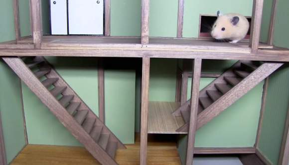 Bật cười với nhà Nhật Bản của "chàng" hamster béo 21