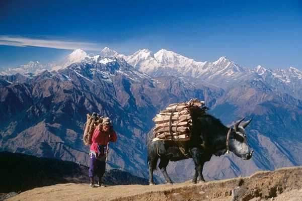 Những sự thật thú vị về đất Phật Nepal 5