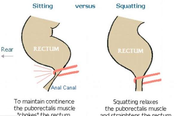 Tất cả chúng ta đều đang "giải quyết nhu cầu" sai cách 2