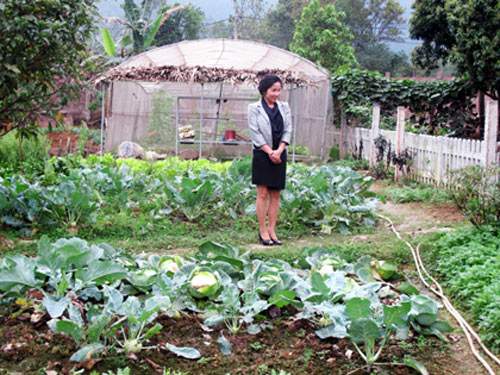 Thu Phương, Mỹ Linh thích thú trồng rau sạch tại nhà 9